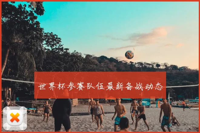 世界杯参赛队伍最新备战动态