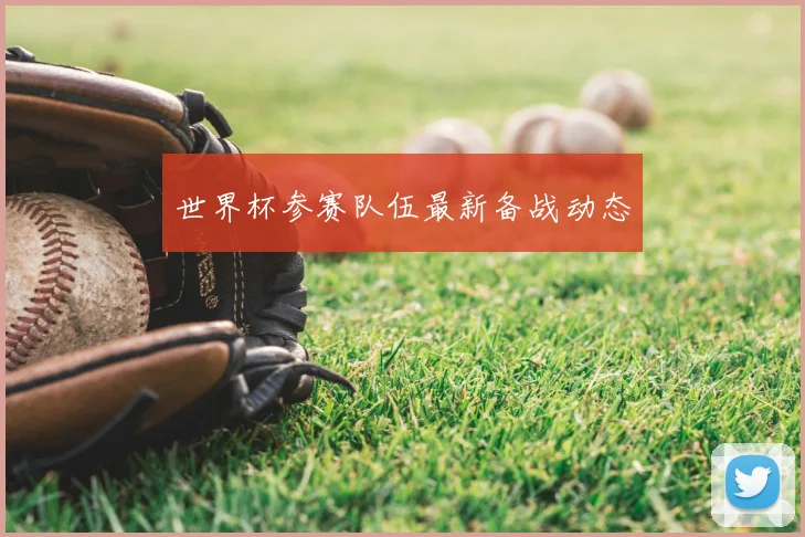 世界杯参赛队伍最新备战动态